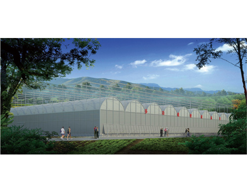 蘭州資金申請(qǐng)報(bào)告 蘭州資金申請(qǐng)報(bào)告